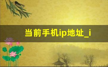 当前手机ip地址_ip精确查询位置