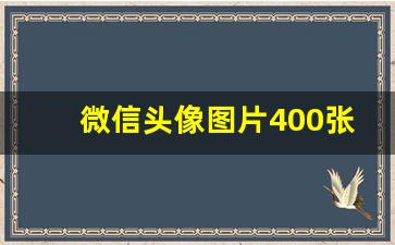 微信头像图片400张