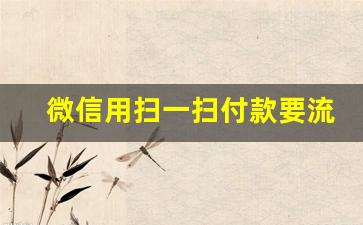 微信用扫一扫付款要流量吗_收款码没有网络情况下可以收吗