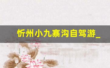 忻州小九寨沟自驾游_带孩子必去的30个地方