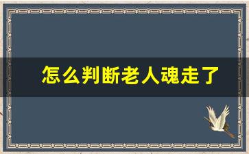 怎么判断老人魂走了