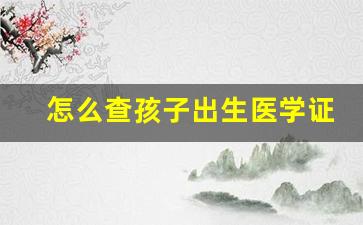 怎么查孩子出生医学证明编号_微信怎么查儿童身份证号码