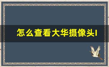 怎么查看大华摄像头IP_大华摄像机不知道ip如何解决