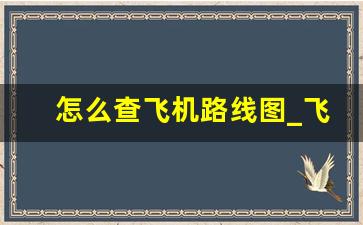 怎么查飞机路线图_飞机飞行线路图