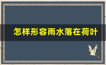 怎样形容雨水落在荷叶上_秋雨打荷叶的诗句