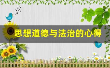 思想道德与法治的心得体会200字_道德与法治收获与体会