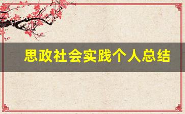 思政社会实践个人总结_思政课实践总结报告