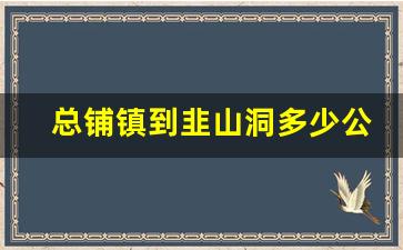 总铺镇到韭山洞多少公里