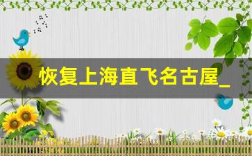 恢复上海直飞名古屋_浦东机场飞日本今天的航班查询