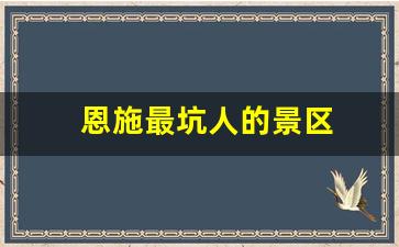 恩施最坑人的景区