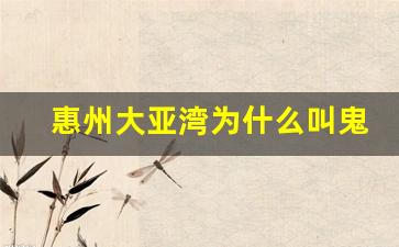 惠州大亚湾为什么叫鬼城_大亚湾十年后房价3万