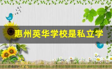 惠州英华学校是私立学校么