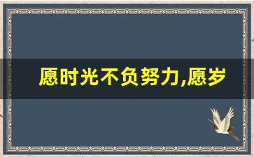 愿时光不负努力,愿岁月不负自己