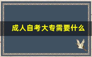 成人自考大专需要什么条件_大专学历快速拿证