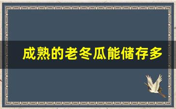 成熟的老冬瓜能储存多久