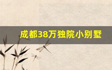 成都38万独院小别墅_西安农家小院15万一套