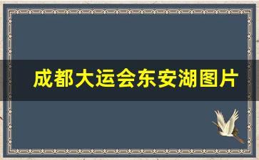 成都大运会东安湖图片_龙泉大运会场馆地址