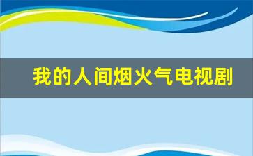 我的人间烟火气电视剧免费观看