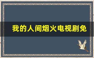 我的人间烟火电视剧免费观看杨洋