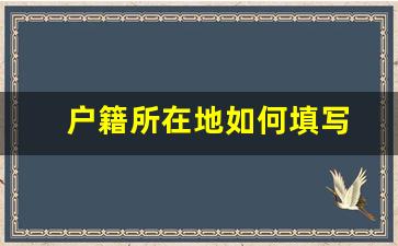 户籍所在地如何填写