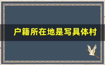 户籍所在地是写具体村吗_户籍所在地是指什么