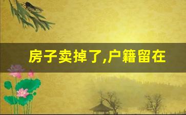 房子卖掉了,户籍留在派出所可以吗_有户无房的安置政策