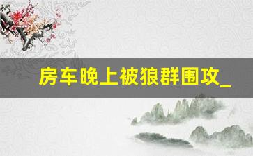 房车晚上被狼群围攻_情侣骑行新疆被狼吃了