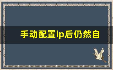 手动配置ip后仍然自动获取ip_电脑手动设置ip重启就变了