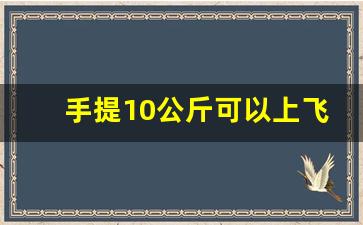 手提10公斤可以上飞机吗_行李箱超过10公斤能登机吗