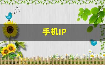 手机IP