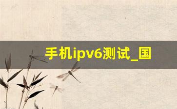 手机ipv6测试_国内支持ipv6的网站