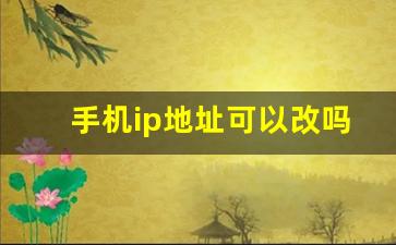 手机ip地址可以改吗_手机怎么手动设置ip地址