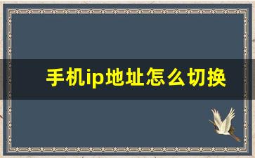 手机ip地址怎么切换_手机ip虚拟位置软件