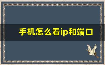 手机怎么看ip和端口_安卓手机端口号怎么查看