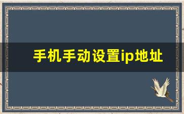 手机手动设置ip地址_手机上怎么设置ip地址