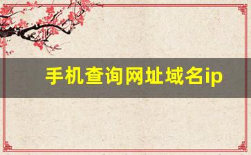 手机查询网址域名ip地址_查询网站IP地址的限制