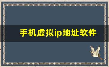 手机虚拟ip地址软件_ip地址修改器下载