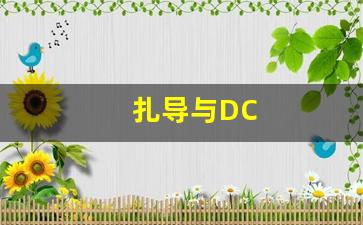 扎导与DC