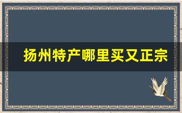 扬州特产哪里买又正宗又便宜_去扬州带点什么回来送人