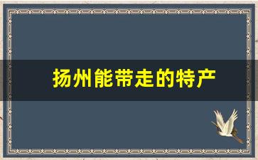 扬州能带走的特产