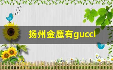 扬州金鹰有gucci店吗_扬州金鹰LV在几楼