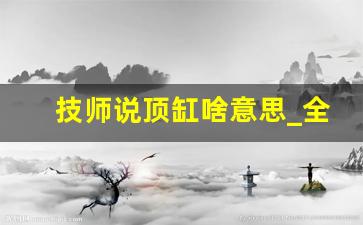 技师说顶缸啥意思_全套里的毛扫是什么