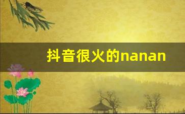 抖音很火的nanananana韩文歌