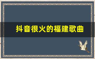 抖音很火的福建歌曲