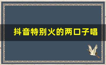 抖音特别火的两口子唱歌_两口子唱歌的有哪些