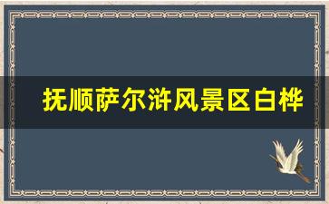 抚顺萨尔浒风景区白桦林_萨尔浒风景区介绍