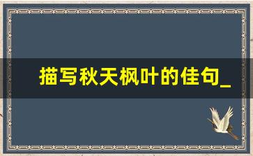 描写秋天枫叶的佳句_赞美秋天枫叶美景的佳句