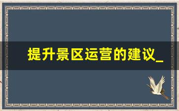 提升景区运营的建议_如何给景区一些建议