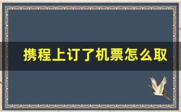 携程上订了机票怎么取票