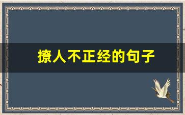 撩人不正经的句子